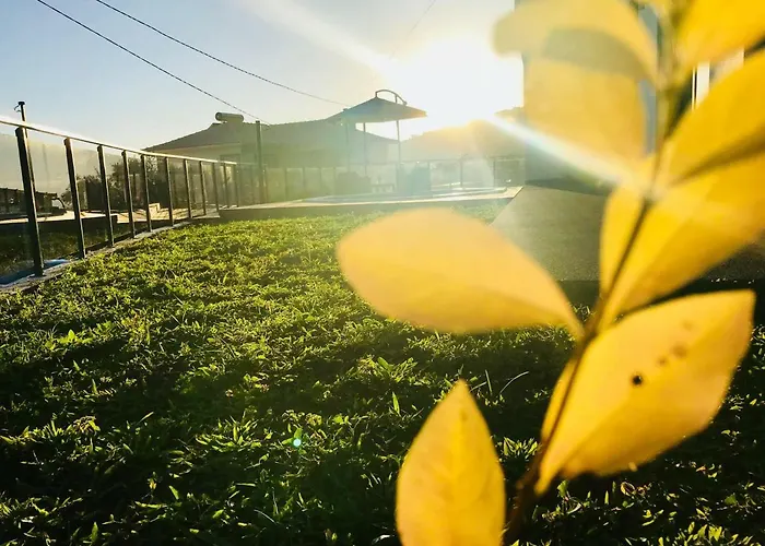 Βίλα Migs'place Arco da Calheta (Madeira)